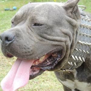 Meet your Posher, Mickele